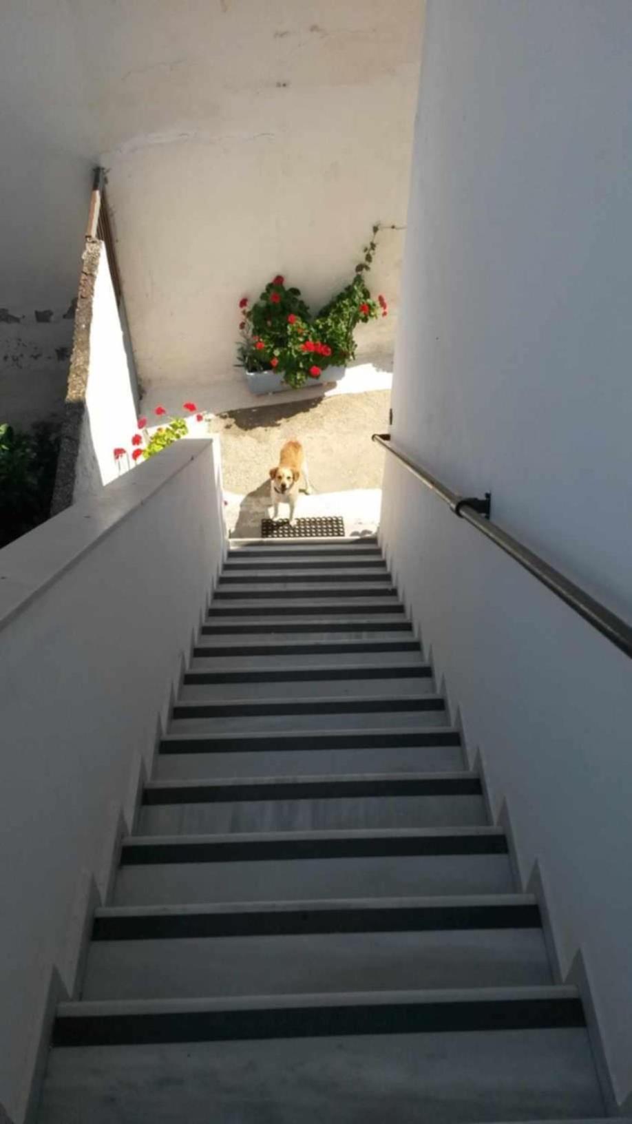 Kostas Studios Apartments - Ενοικιαζόμενα Δωμάτια Με Κουζινάκι Myrina Esterno foto